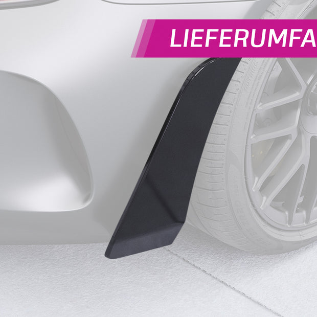 Mercedes-Benz AMG GT GT C / GT R 190 | Side Blades / Side Spats BL003