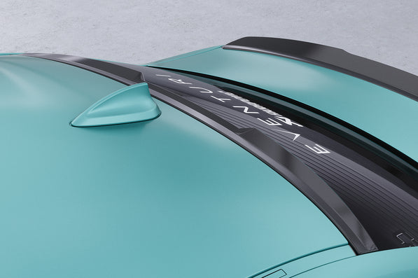 BMW 2er Coupe F22 | Heckscheibenblende HSB079