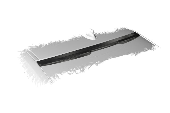 BMW 2er Coupe F22 | Heckscheibenblende HSB079