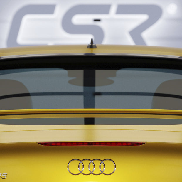 Audi TT / TTS / TT RS Coupe 8J | Heckscheibenblende HSB090